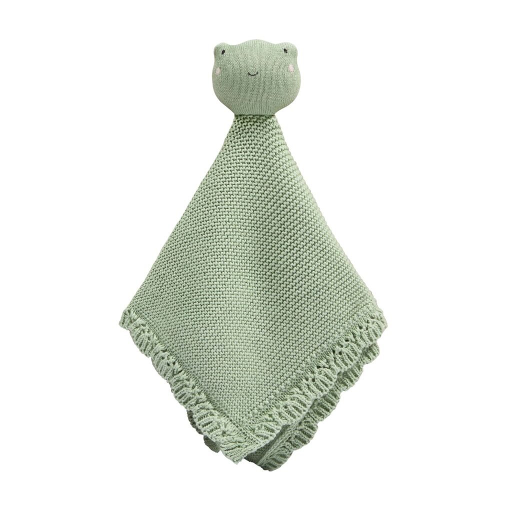 Cuddle cloth – Friendly Frog