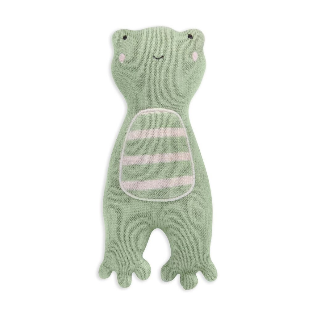 Little Hands Toy – Friendly Frog